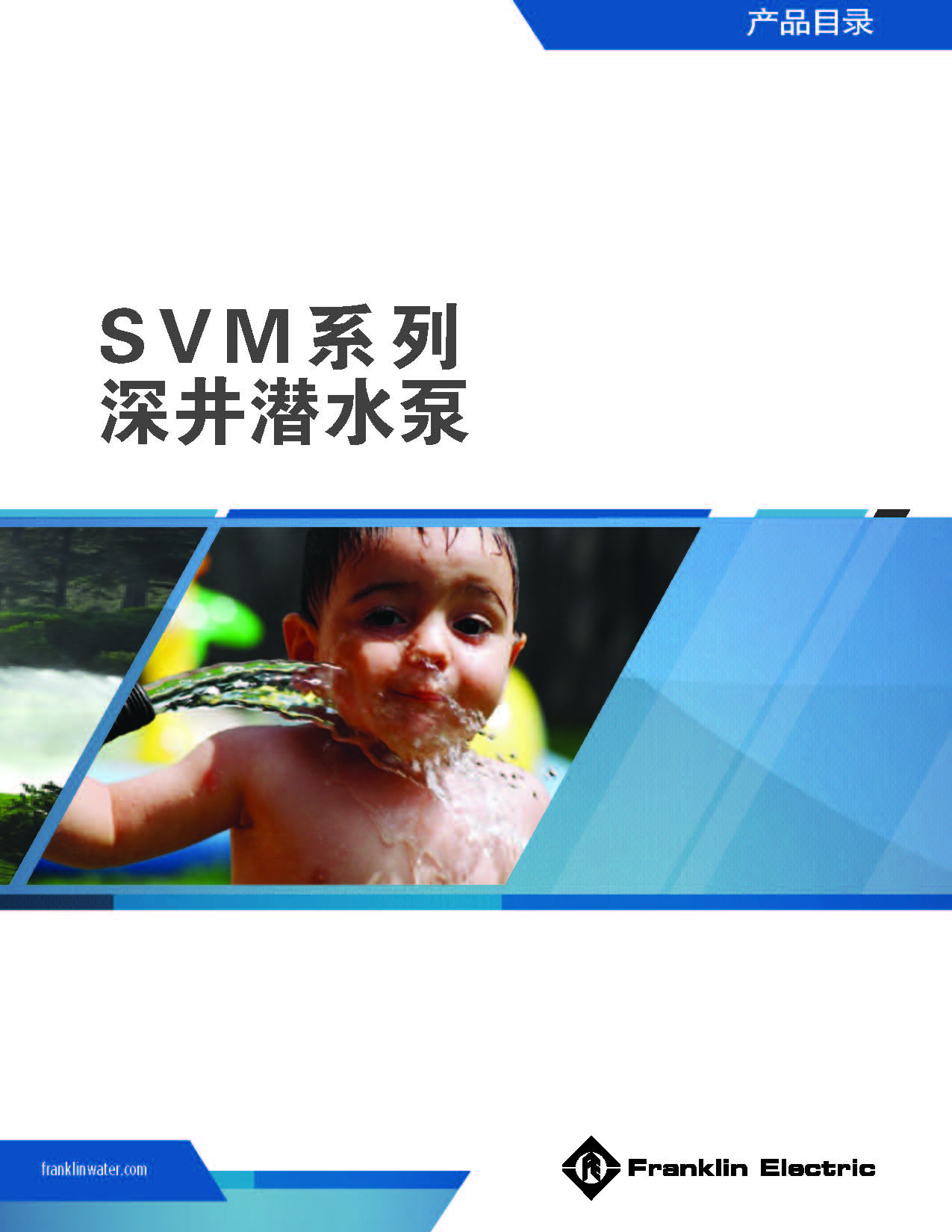 IMPO SVM泵